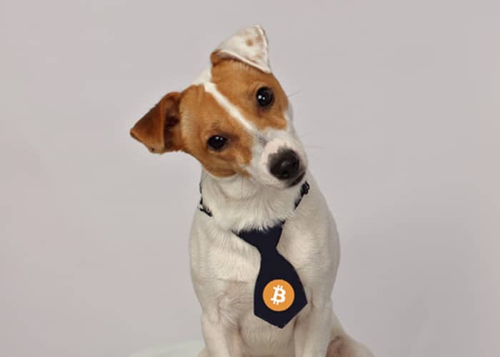 Same Dog New Trick Bitcoin
